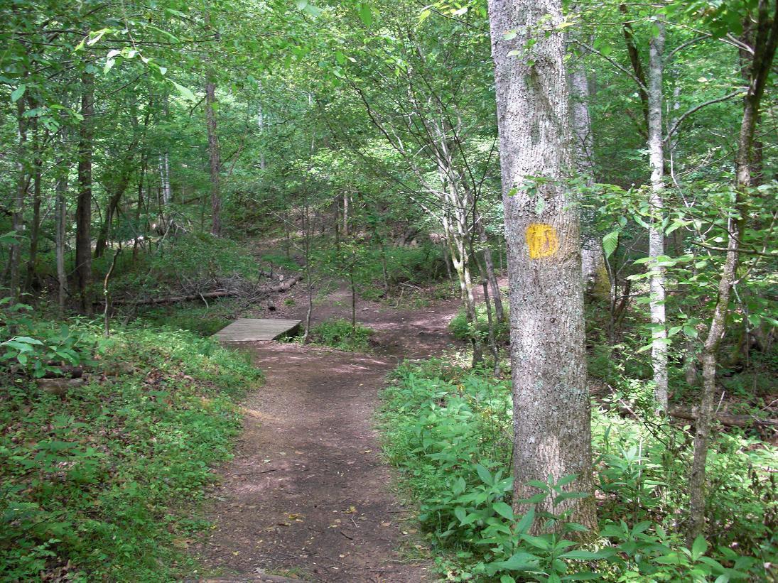 Beech Fork State Park Mountain Bike Trail in Huntington, West Virginia