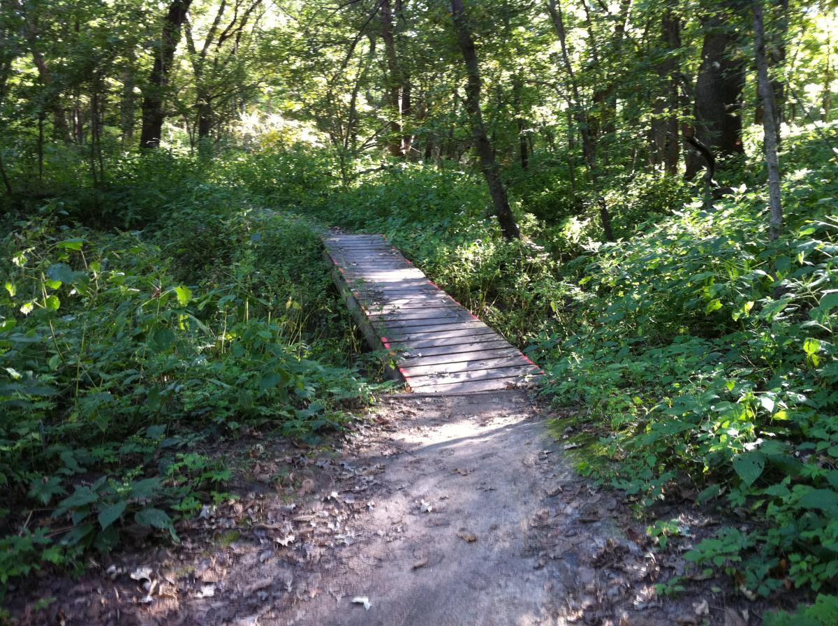 swanson s park swanson park photo singletracks swanson s park swanson park photo singletracks