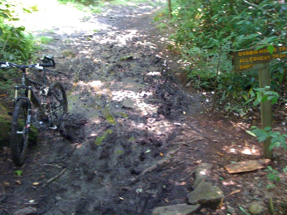 Davis Mountain Bike Trail in Davis, West Virginia