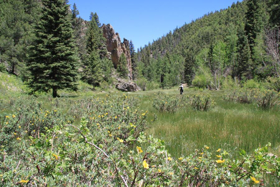 Cat Creek Mountain Bike Trail in Monte Vista, Colorado