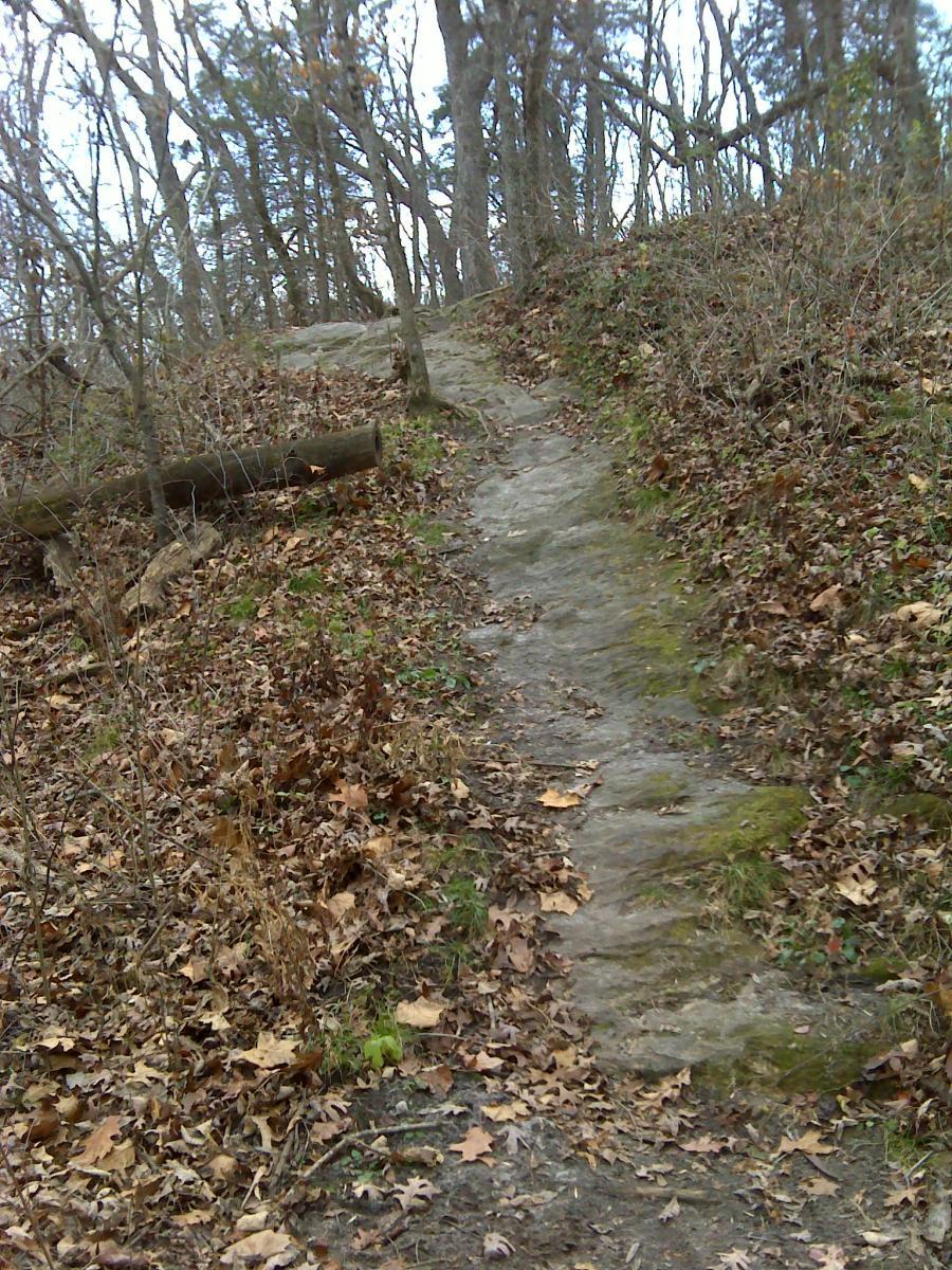 Binder Lake Mountain Bike Trail in Jefferson City, Missouri