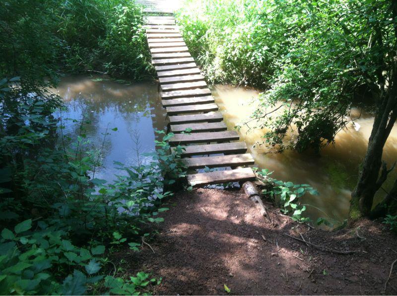 Six Mile Run Mountain Bike Trail in Franklin Township, New Jersey