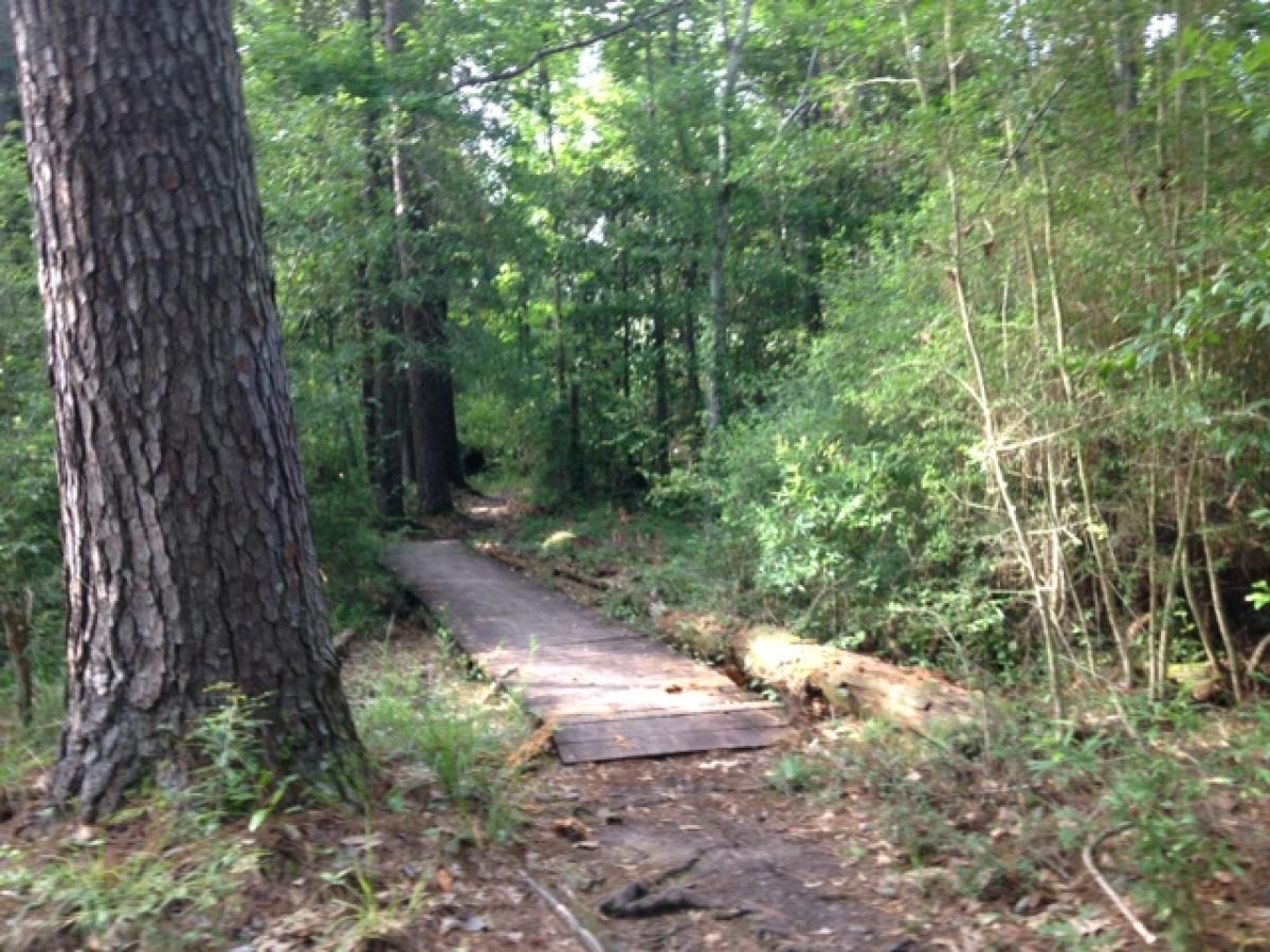 Northlake Nature Center Mountain Bike Trail in Mandeville, Louisiana