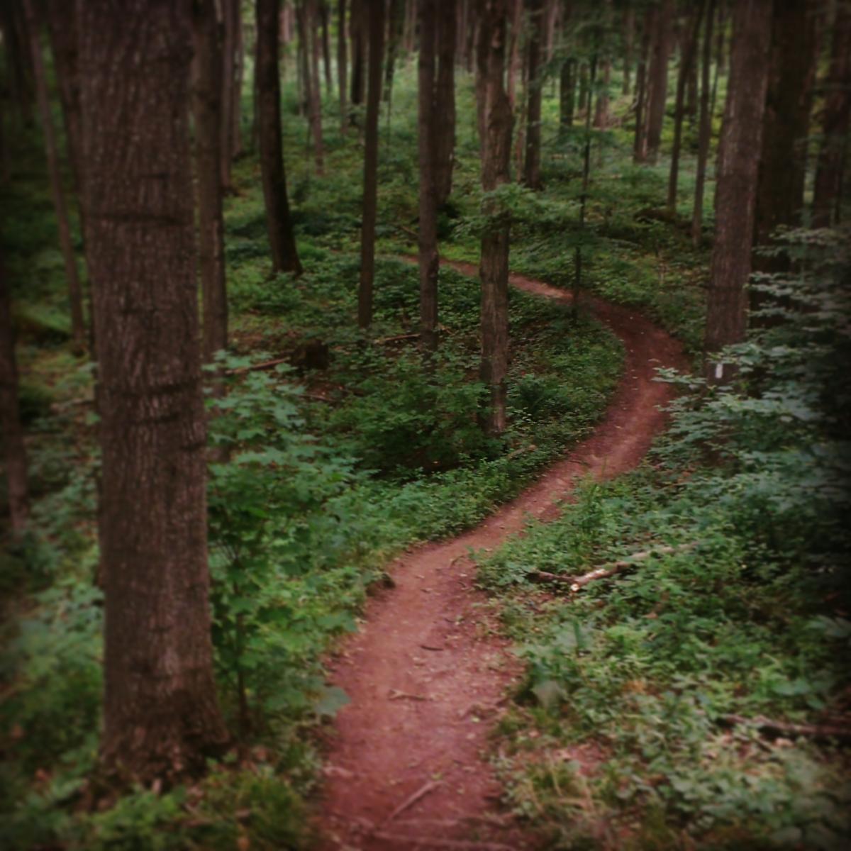 http://images.singletracks.com/2014/07/IMG_20140720_185539.jpg