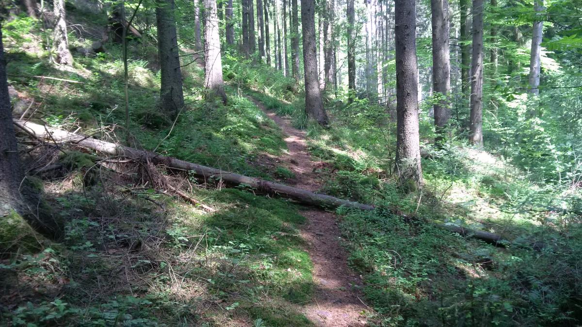 Singletrack deutschland