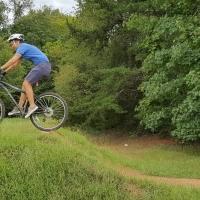 unique cactus planters