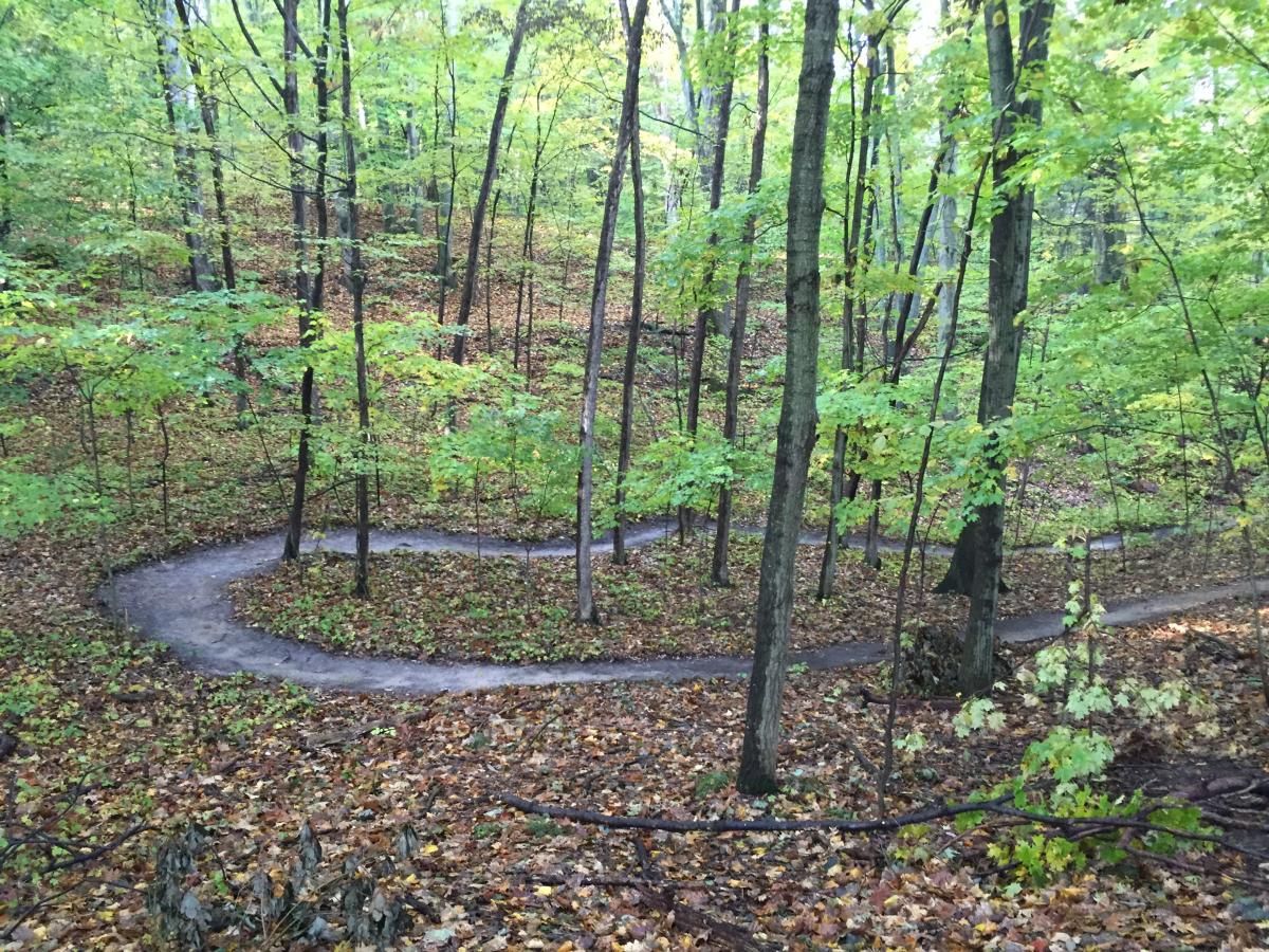 Shore Acres Mountain Bike Trail Mountain Bike Trail in Saugatuck