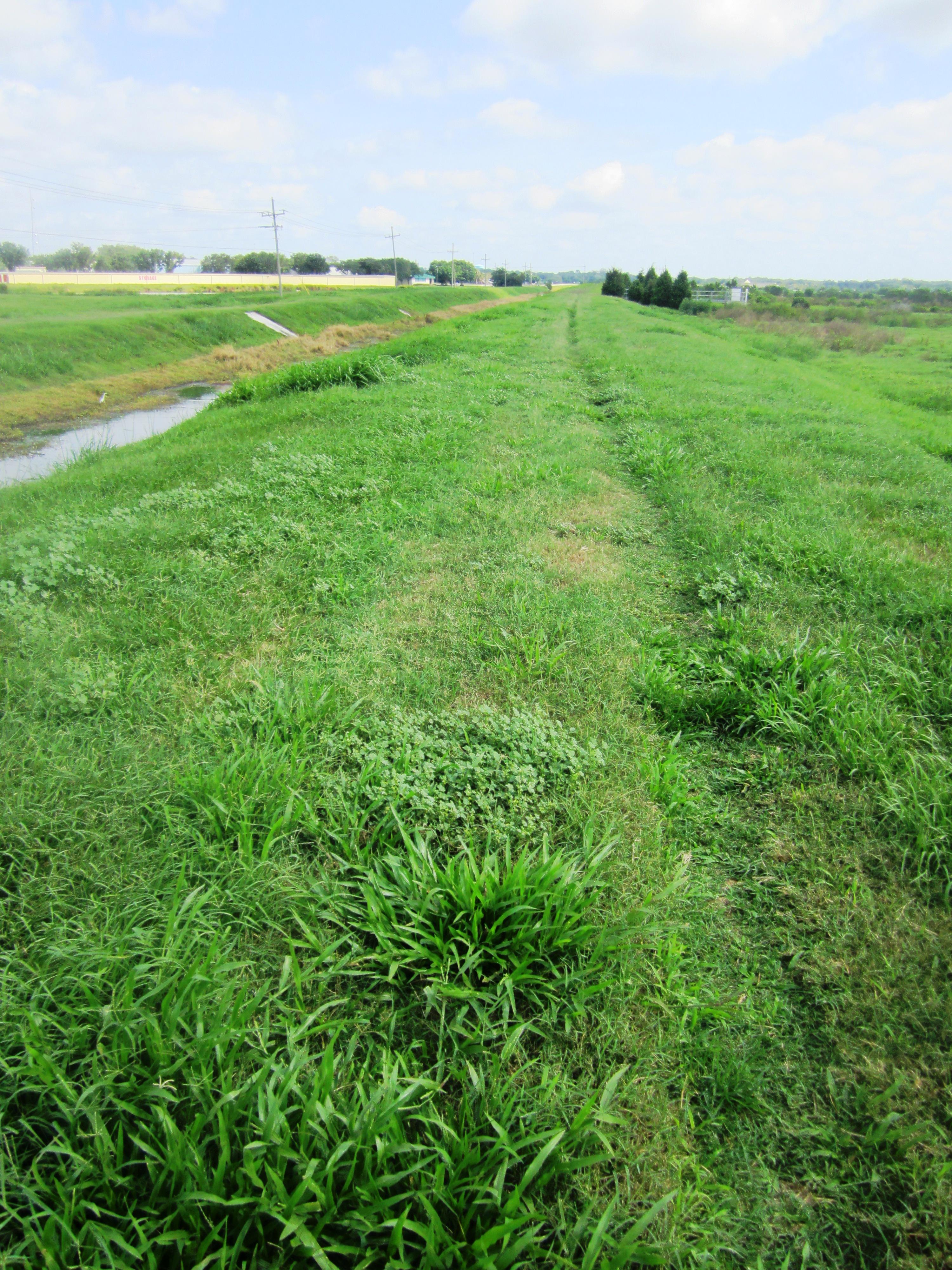 The Celery Fields photo