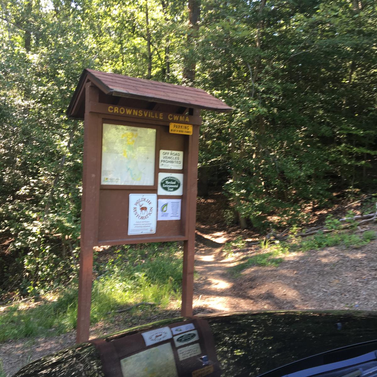 Bacon Ridge Trail System Mountain Bike Trail in Crownsville, Maryland