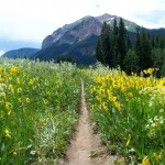 trail biking for beginners