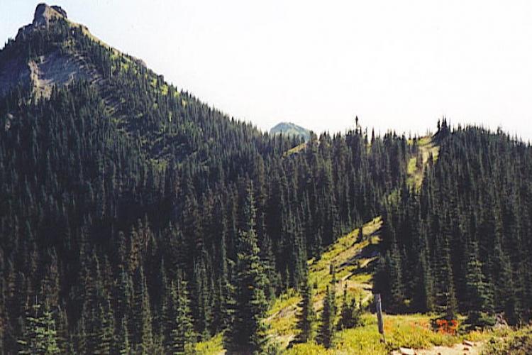 The McDonalds of Trail Building Standardizing Mountain Bike Trails