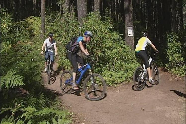 Deer hunting meets mountain biking Singletracks Mountain Bike News