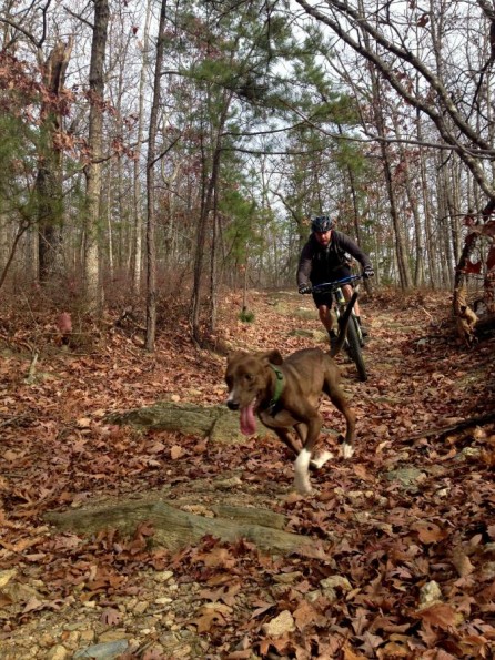 sram-trail-dog-0