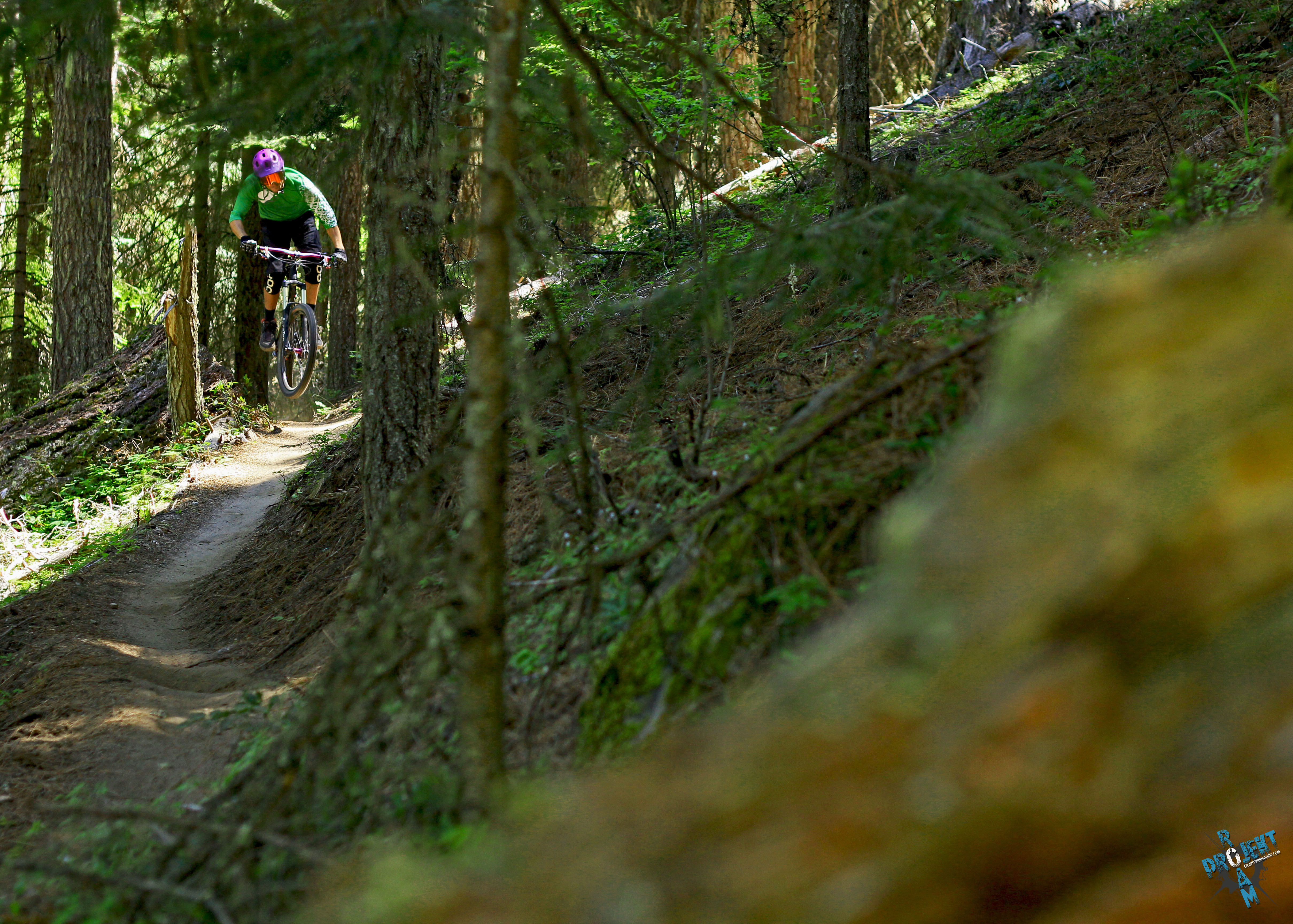 Projekt Roam's Weekly Wander Time Warp Trail, Ashland, Oregon