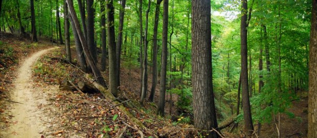 Panorama-1-edit-1280-0-orig-0