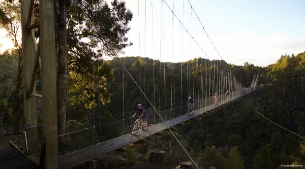 Suspension bridge!
