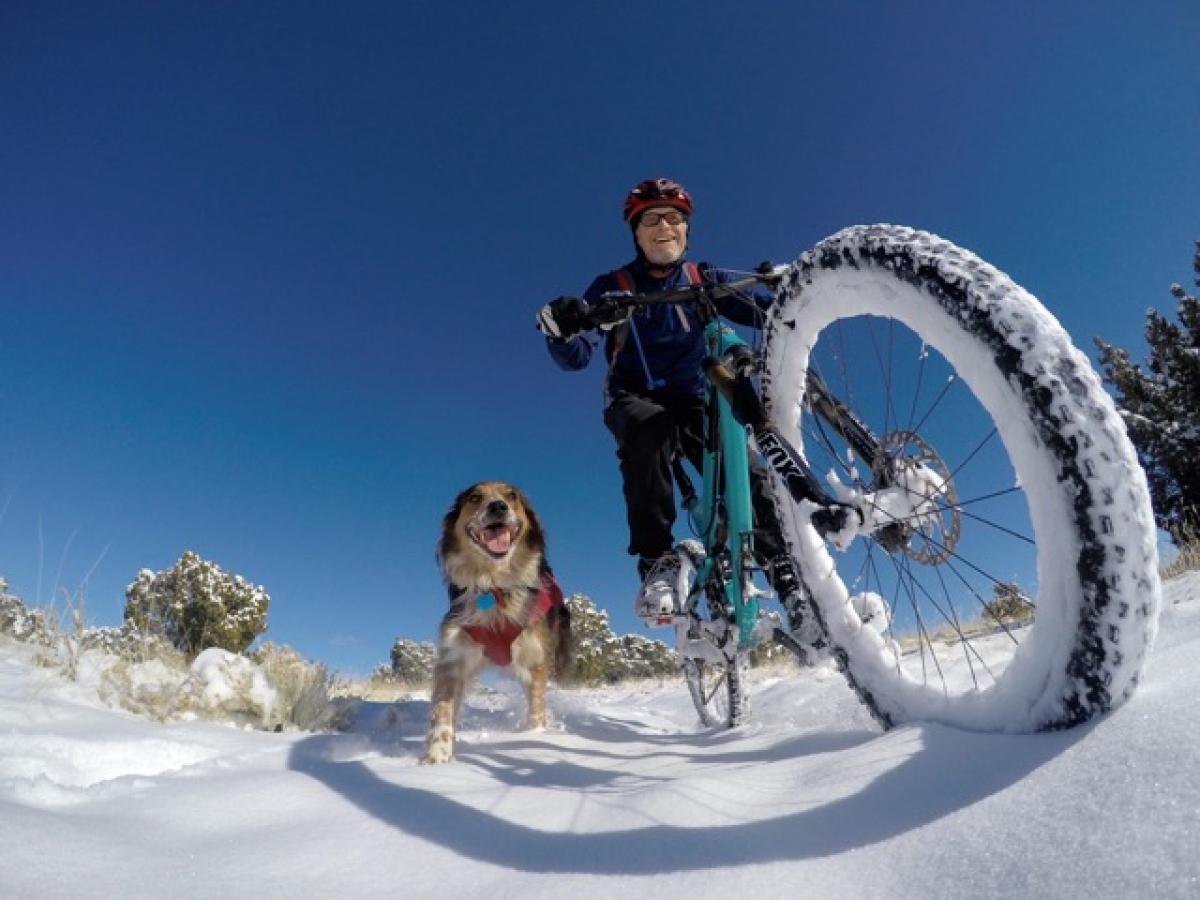 "Yes, dogs DO smile!" Photo: Bob Ward.