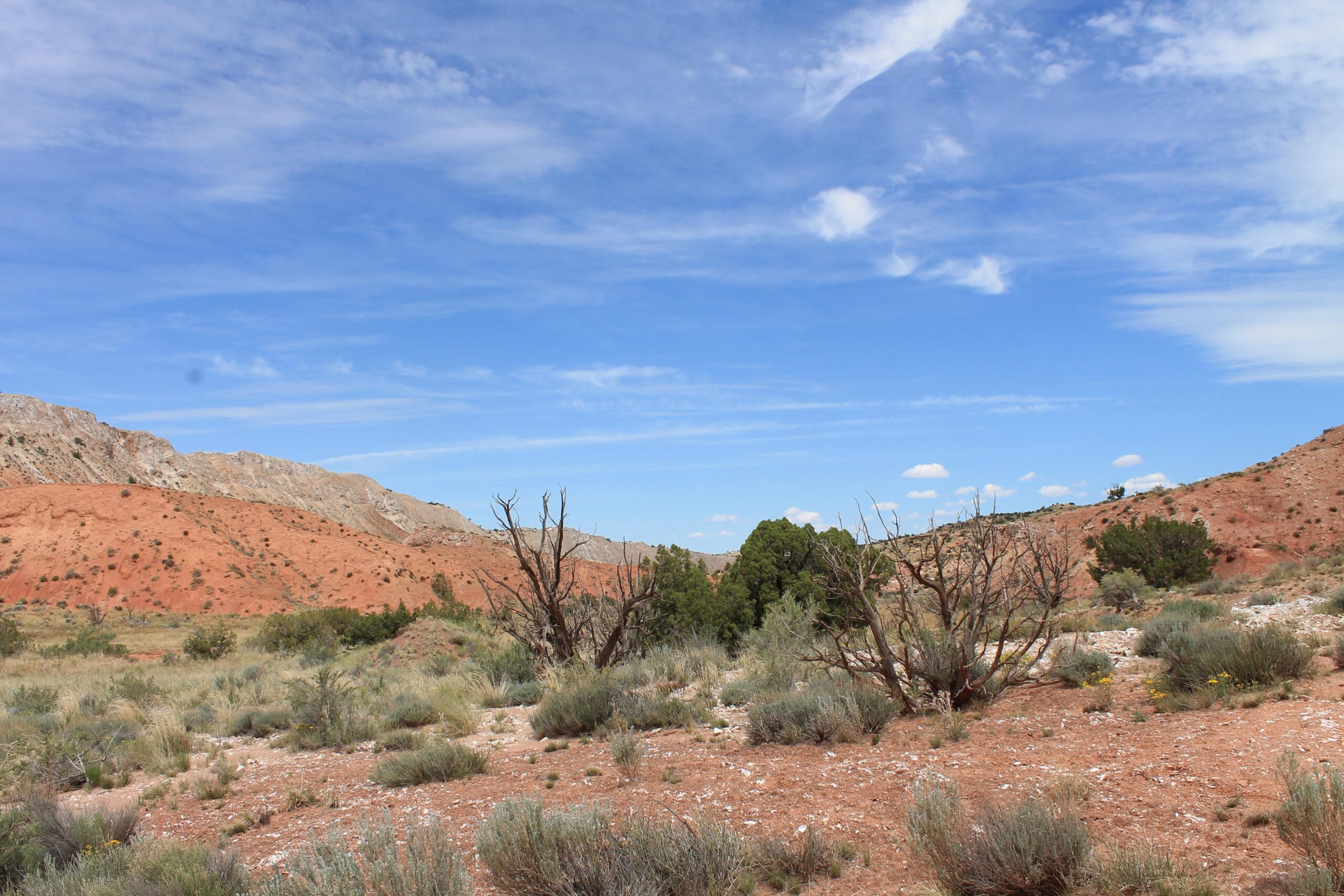 white ridge bike trails