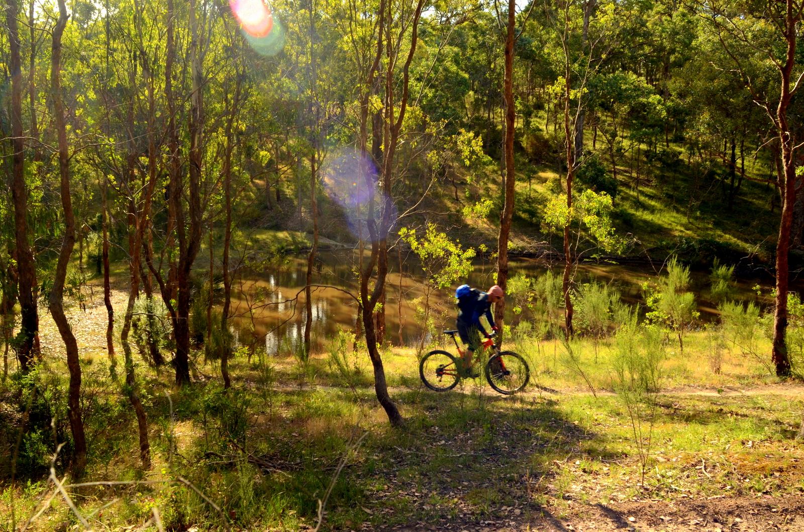 plenty gorge mountain bike trails