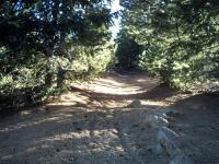 Gold Camp Road 