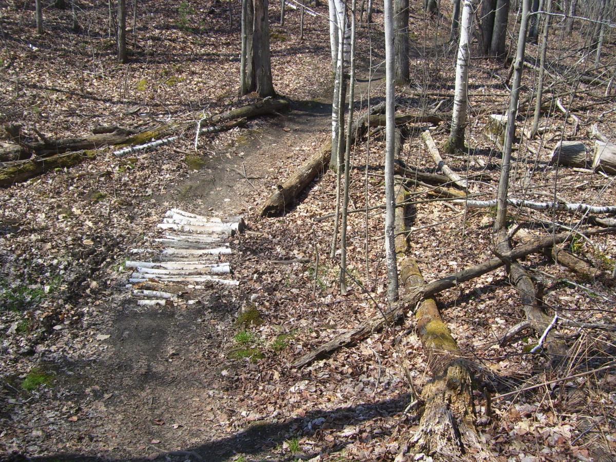 Camp Johnson Photo SINGLETRACKS COM camp-johnson-photo-singletracks-com