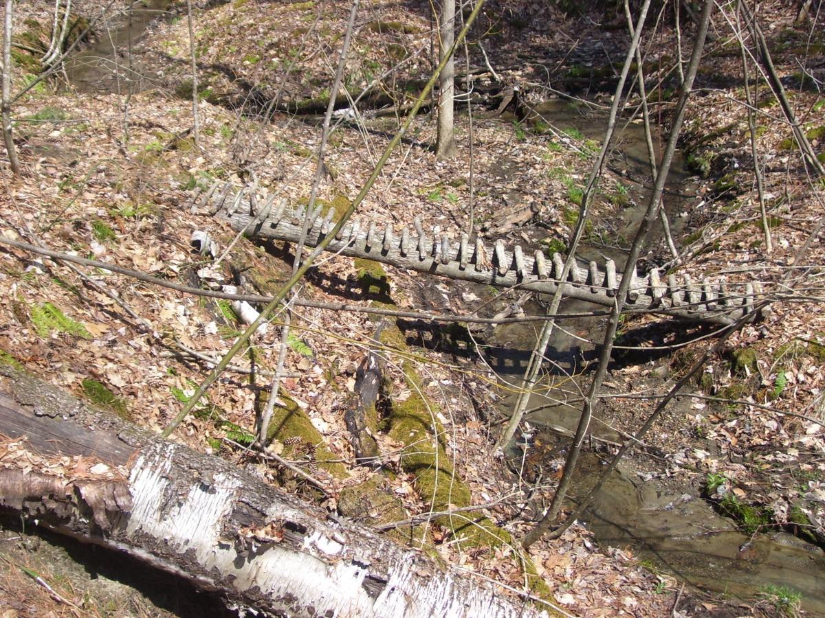 Camp Johnson Photo SINGLETRACKS COM camp-johnson-photo-singletracks-com