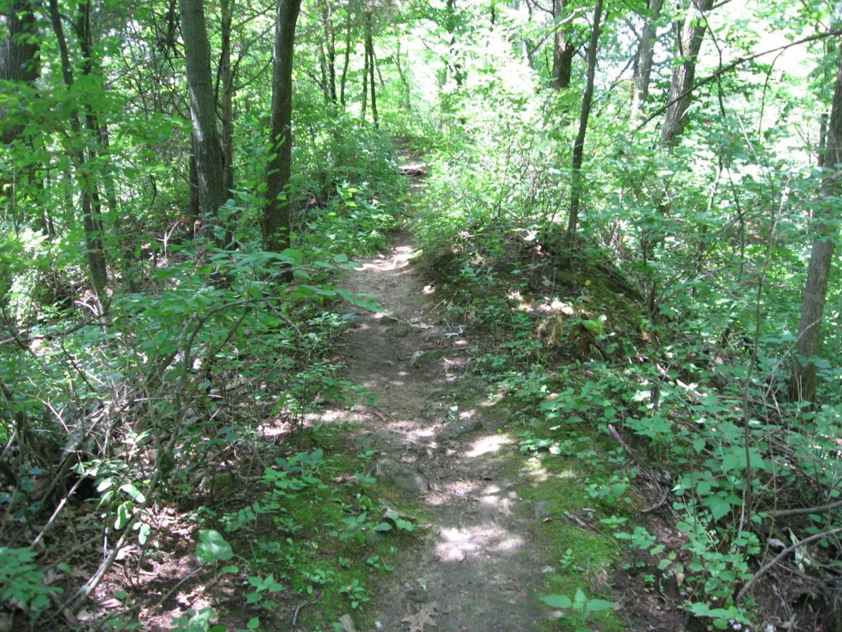 Bluff Trails photo
