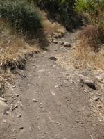 Spring Canyon 