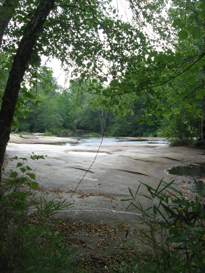Tribble Mill Park photo
