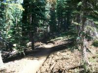 Pauley Creek 