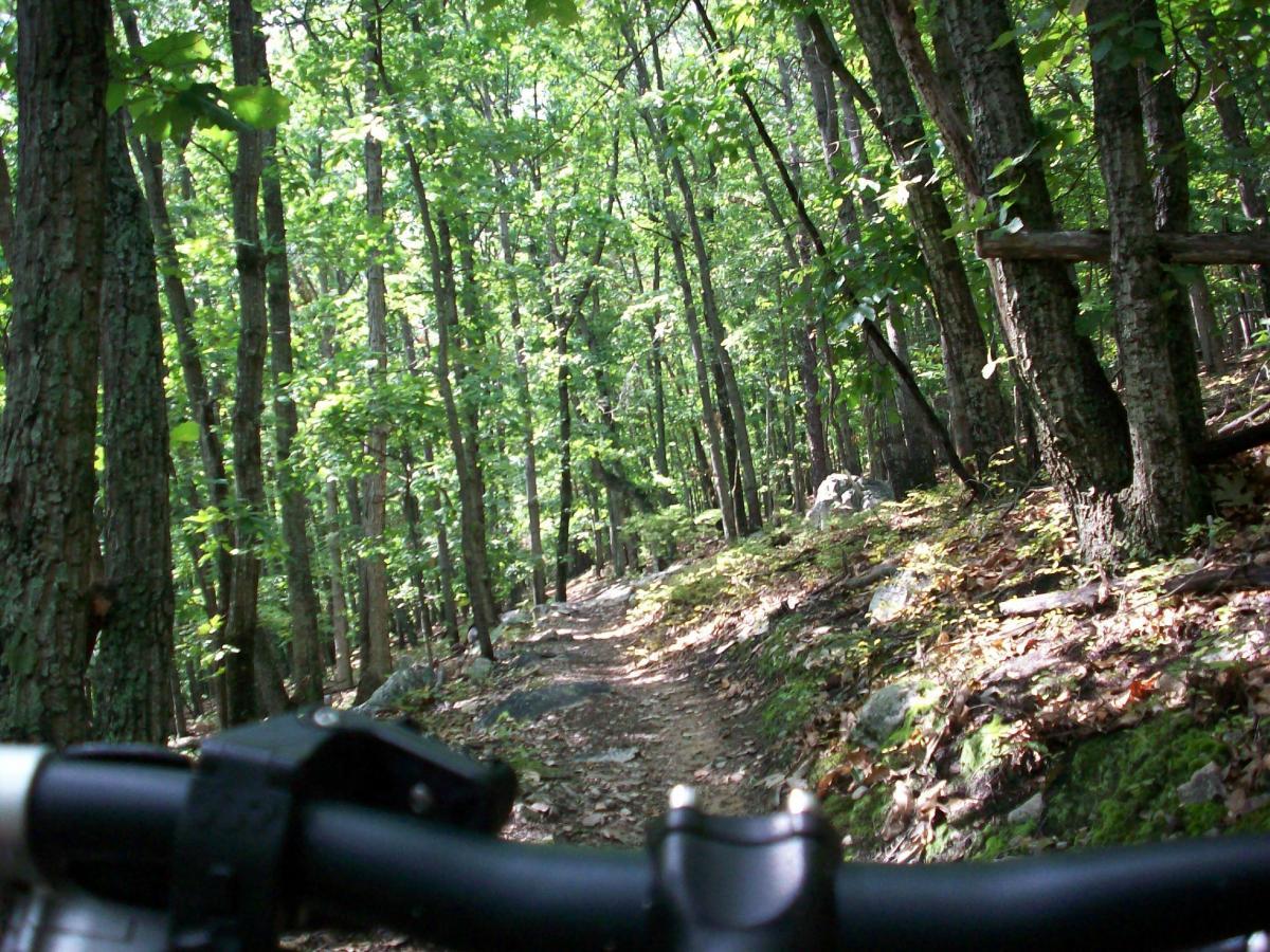 Mill Mountain Trails photo