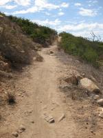Sycamore Canyon 