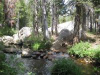 Lake Alpine Loop 