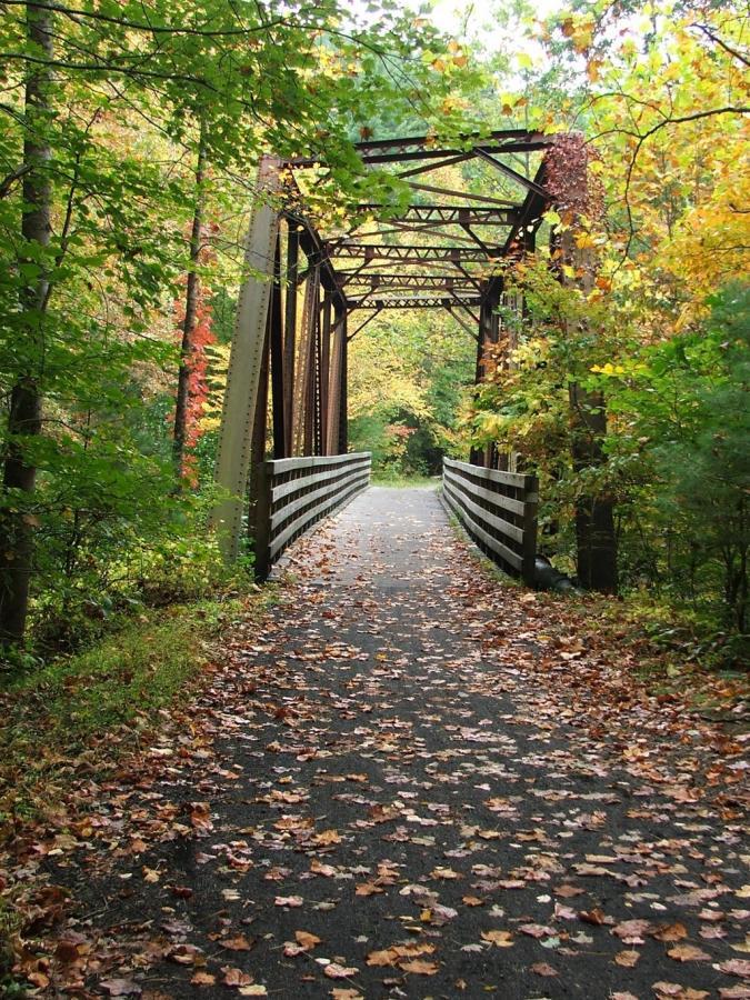 Virginia Creeper White Top To Damascus Mountain Bike Trail in