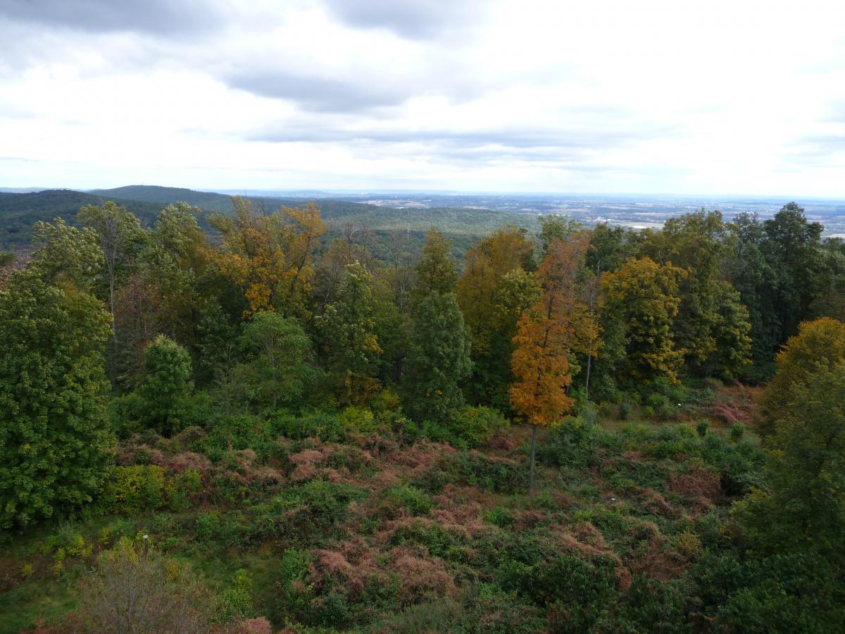 Trails At Mt. Gretna photo