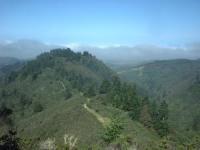 Purisma Creek 
