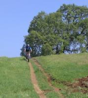 Arastradero Preserve 