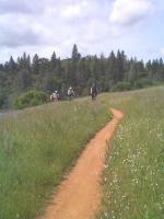 Foresthill Divide 