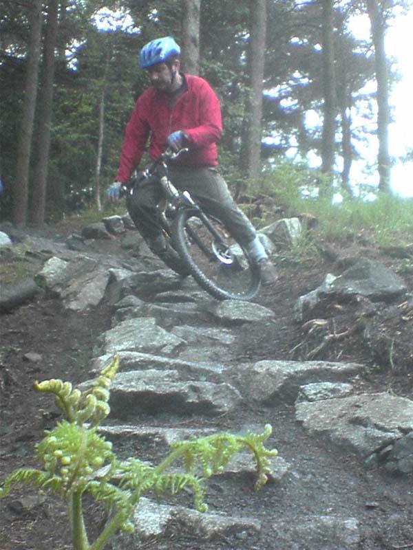 curragh woods mtb