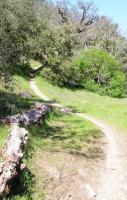 Henry W. Coe State Park 