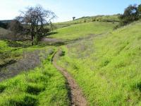 Santa Teresa Park 