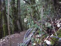 Saratoga Gap 