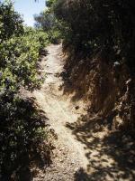 El Corte De Madera Creek Open Space 