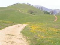 Joseph D. Grant County Park 