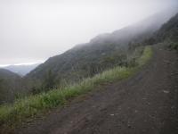 Sisar Canyon / White Ledge 