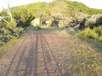 Sierra Azul Open Space 