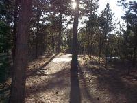 Black Forest Section 16 Trail 