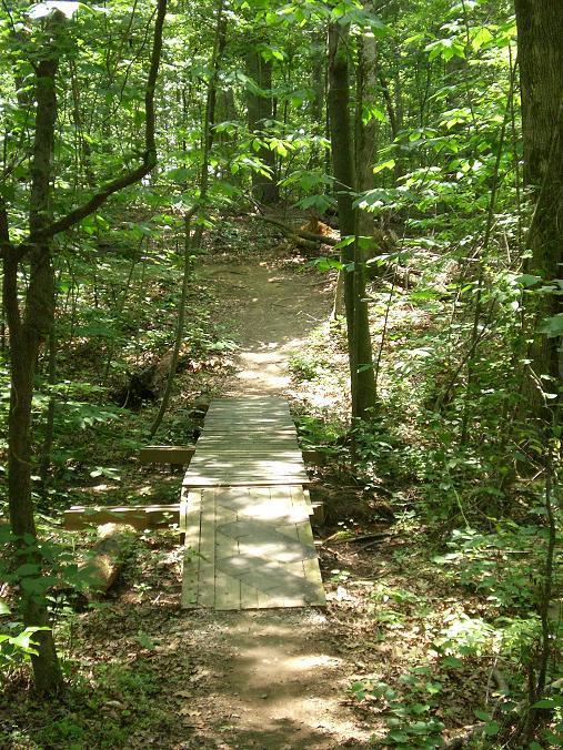 North Meck Park photo