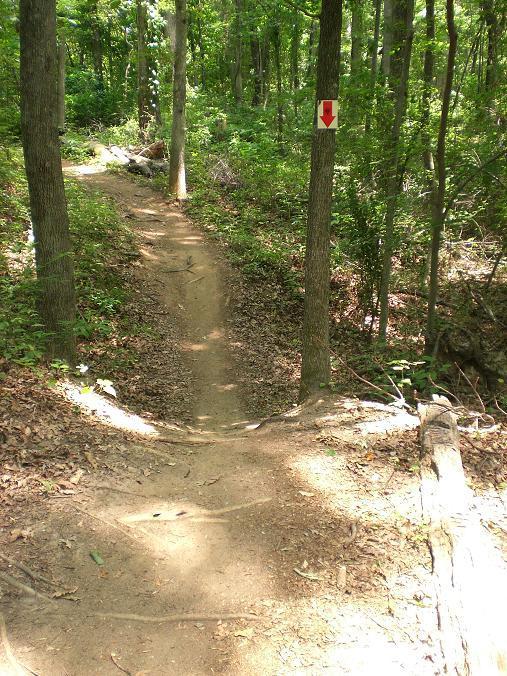 North Meck Park photo