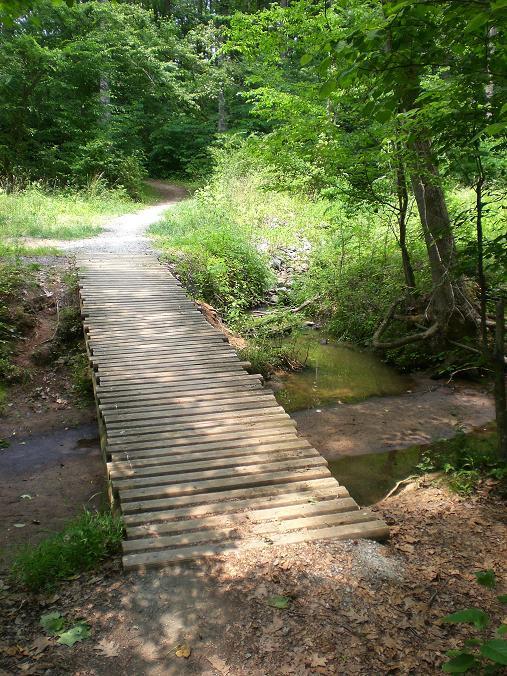 North Meck Park photo